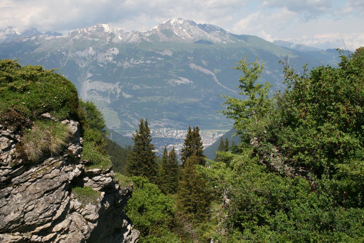 The Alpina Mountain Resort Tschiertschen Εξωτερικό φωτογραφία